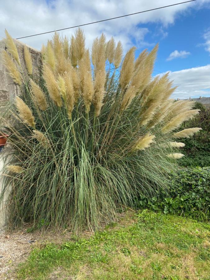 Gite Du Bois Pennier, Au Calme , A 15 Km Des Plages Du Debarquement Picauville Exteriér fotografie